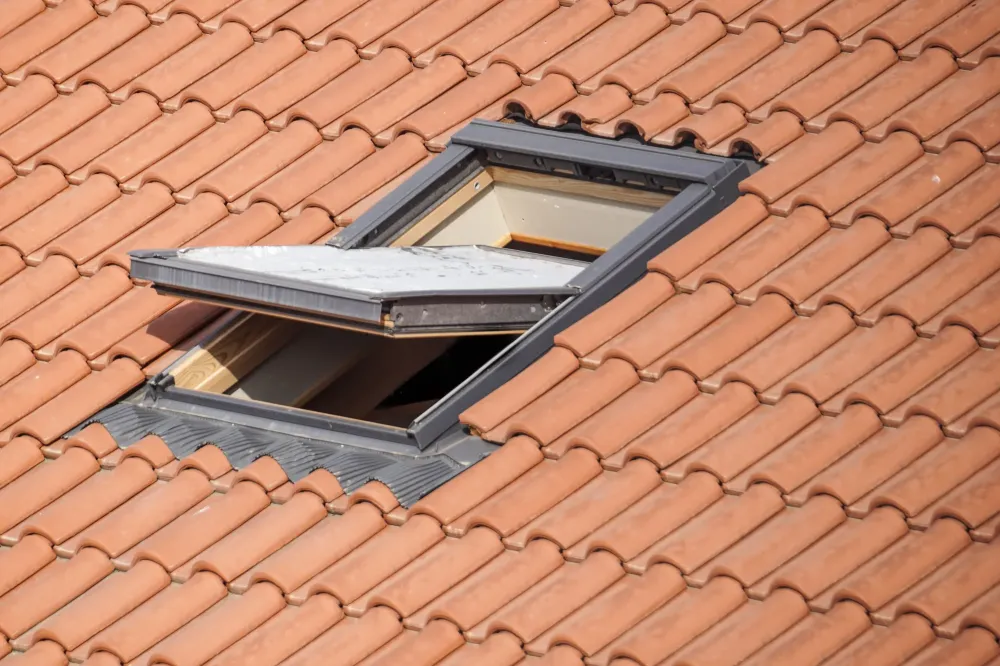 Velux à Les Esseintes